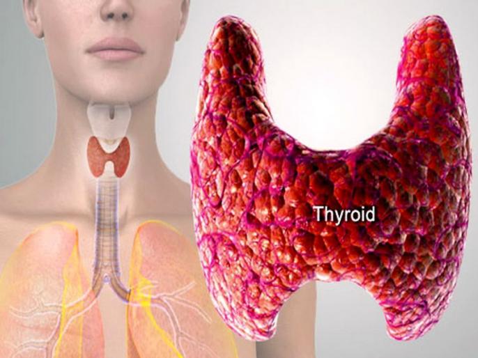 Thyroid Diet Myth Buster: क्या थायरॉइड को कंट्रोल करने वाली कोई जादुई डाइट है, जानिए एक्सपर्ट्स ने किस बड़े भ्रम से उठाया पर्दा