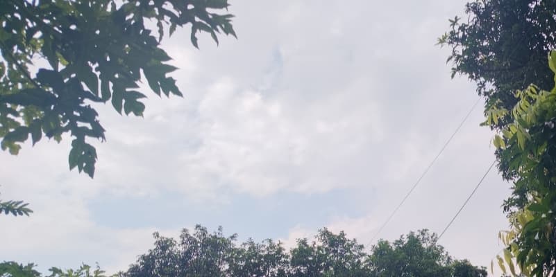उत्तराखंड मौसम अलर्ट: मानसून का कहर जारी, आज इन 6 जिलों में भारी बारिश की चेतावनी