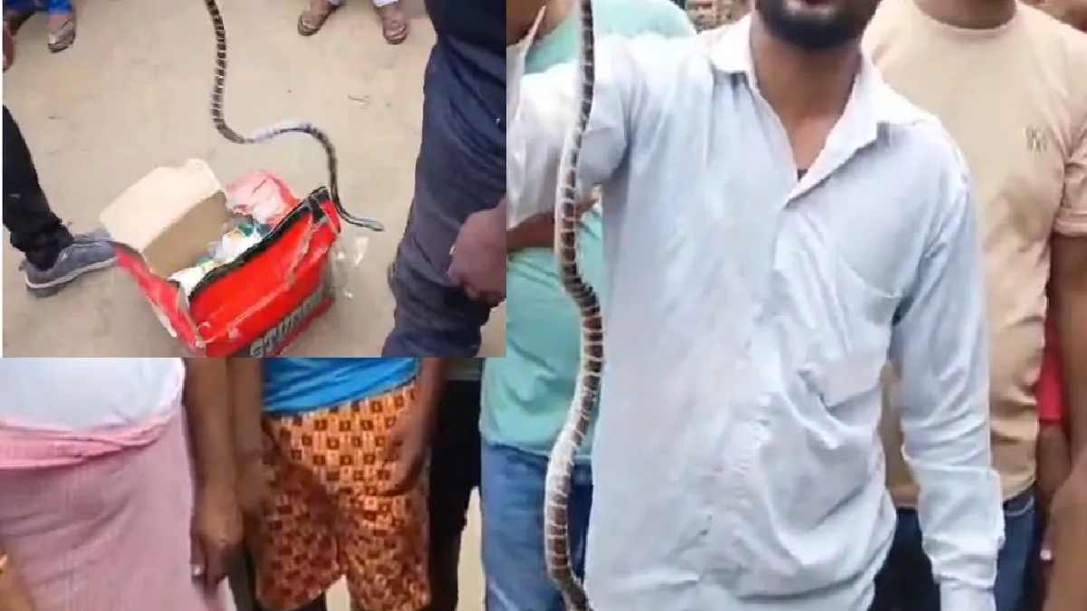 हेलमेट के अंदर छिपा था ‘काल’! सोते मां-बेटे को सांप ने डसा, 11 साल के मासूम की मौत