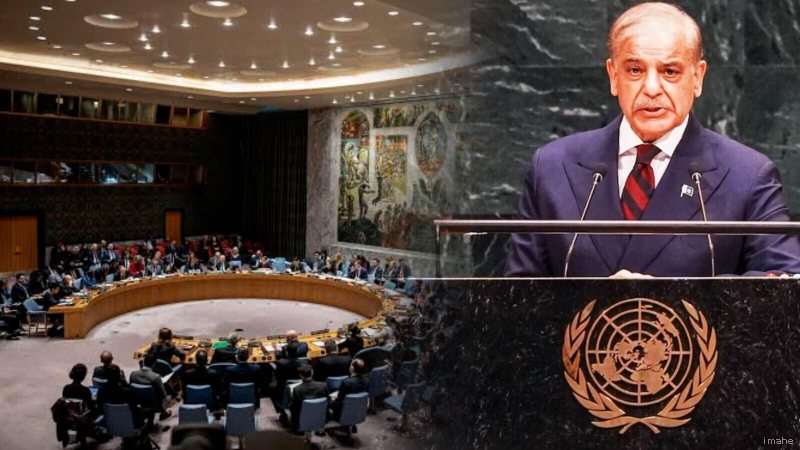 UNSC में भारत की स्थायी सदस्यता का पाकिस्तान ने किया कड़ा विरोध