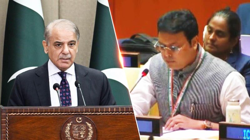 OIC को संयुक्त राष्ट्र में भारत की खरी-खरी: कश्मीर पर पाकिस्तान के प्रोपगंडा की उड़ाई धज्जियां