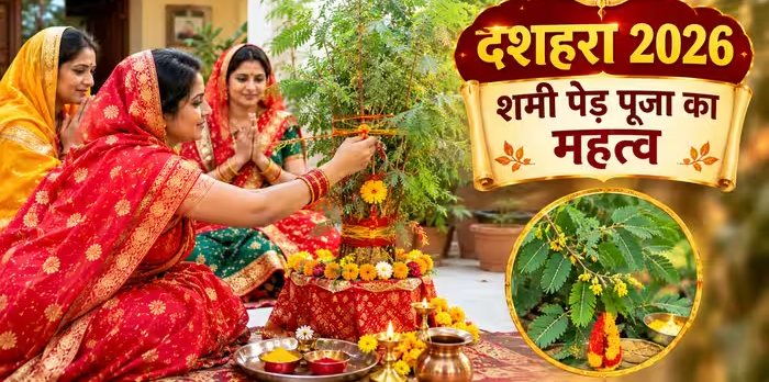 दशहरे पर क्यों की जाती है शमी के पेड़ की पूजा और क्यों बांटे जाते हैं इसके पत्ते