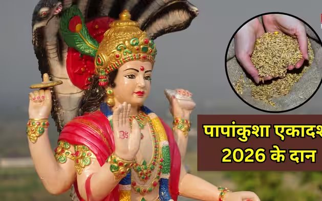 पापांकुशा एकादशी के दिन जरूर करें इन पवित्र चीजों का दान