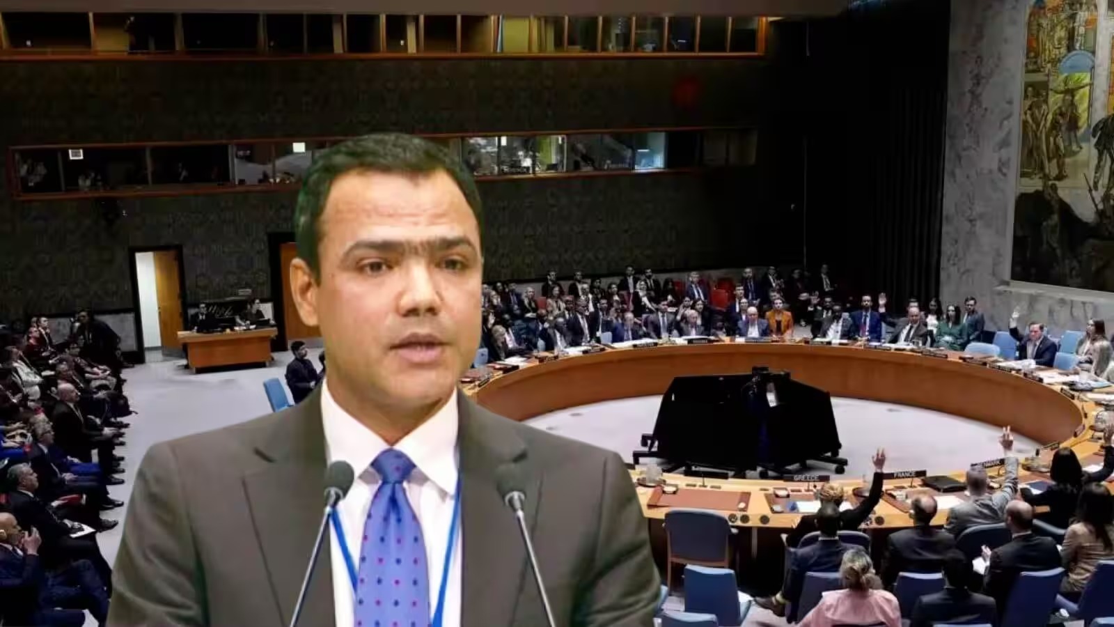 UNSC में भारत ने मांगा वीटो पावर, पाकिस्तान ने जताई आपत्ति